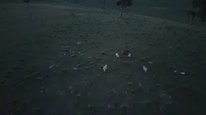 Kars Sarıkamış’ta köpeklerin kovaladığı boz ayı görüntülendi