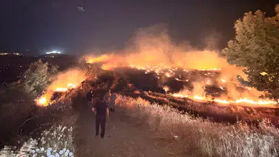 Hatay Kırıkhan'da anız yangını zeytinlik alana sıçradı