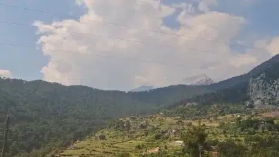 Antalya Serik'te orman yangını