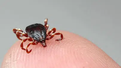 Konya'da KKKA şüphesiyle tedavi gören şahıs öldü