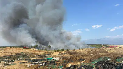 Antalya Aksu'da orman yangını