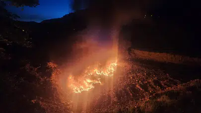 Bartın Kumluca'da otluk alanda yangın çıktı