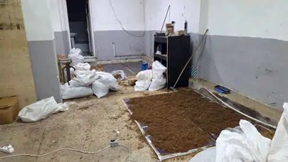 İstanbul ve Adıyaman'da kaçak tütün operasyonu : 24 gözaltı