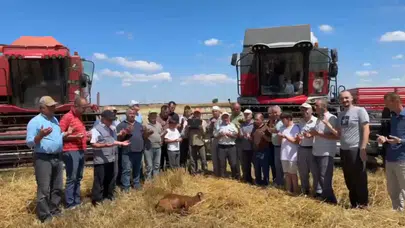 Edirne'de buğday hasadı üreticilerin dualarıyla başladı