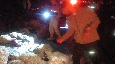 Van'da otomobilin çarptığı sürüdeki 17 koyun telef oldu