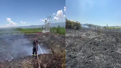 Mersin Mut'ta 15 dönümlük bahçe yandı