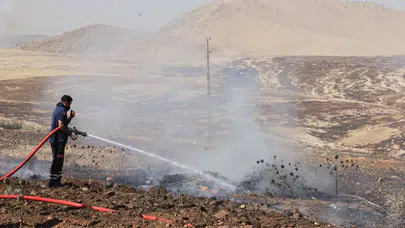 Mardin Kızıltepe'de anız yangını çıktı