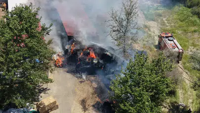 Adana'da büyükbaş çiftliğinde yangın
