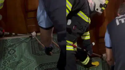 Gaziantep'te eve giren yılan paniğe neden oldu