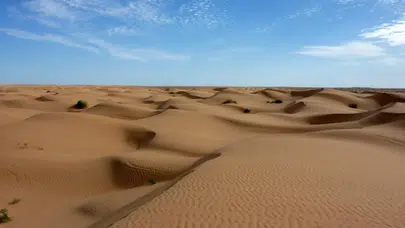 Sahara Çölü'nde feci olay : 50 kişi susuzluktan hayatını kaybetti