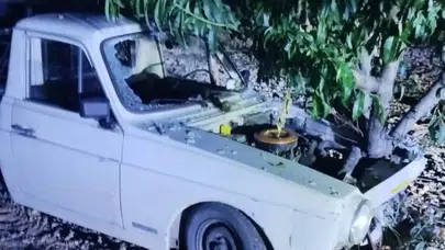 Bilecik'te otomobil ağaca çarptı : 1'i ağır 2 yaralı