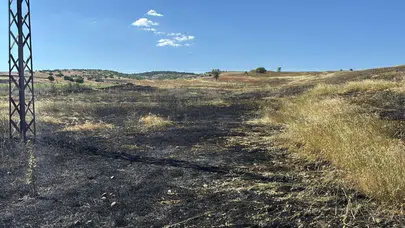 Kütahya'da hasat sırasında yangın çıktı : 15 dönüm tarla kül oldu