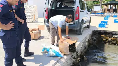 Aydın'da kaçak sevk edilen 60 kilo canlı yengeç ele geçirildi