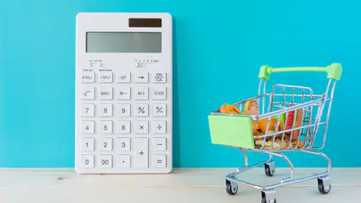 Bütçede en büyük pay konut ve kiraya gitti