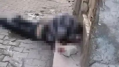 Siirt'te bayram günü işlenen cinayete ilişkin bir kişi gözaltına alındı