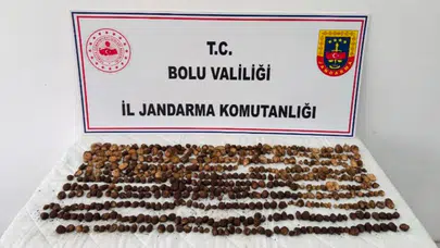 Bolu'da 4,5 kilogram yabani salep toplayan 3 kişiye rekor ceza : Tam 2 milyon 97 bin TL