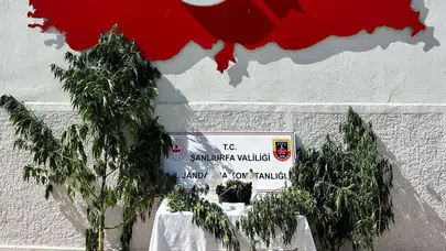 Şanlıurfa'da uyuşturucu operasyonunda bir kişi yakalandı