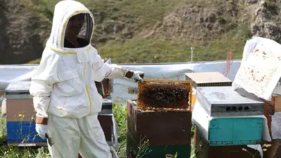 Fiyatı dudak uçuklatıyor! Anzer Balı yeni sezonda 7 bin TL’den satılacak!