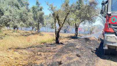 İzmir Bayındır'da seralara sıçrayan yangın ekiplerin müdahalesiyle kontrol altına alındı
