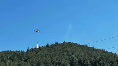 Manisa'nın Turgutlu ilçesinde orman yangını