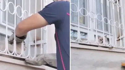 Osmaniye'de patisi pencere demirine sıkışan kediyi kurtarıldı