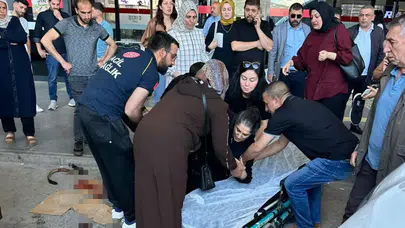 Elazığ'da köpek saldırısı : Yaralı kadın tedavi altında
