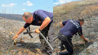 Çorum'da yangının ortasında kalan kaplumbağa kurtarıldı