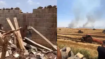 Şanlıurfa Viranşehir'de anız yangını : Büyükbaş hayvan telef oldu