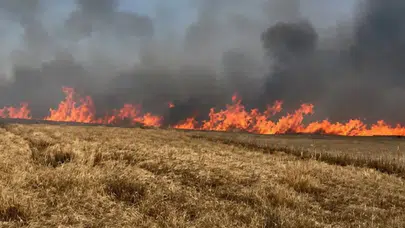 Tekirdağ Hayrabolu'da 400 dönümlük alan yandı