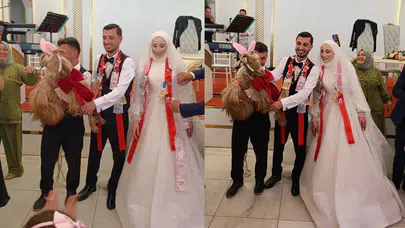Trabzon'da düğünde eğlenceli anlar : Altın yerine keçi takıldı
