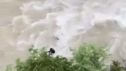 Artvin Şavşat'ta bir araç Çoruh Nehri'ne uçtu
