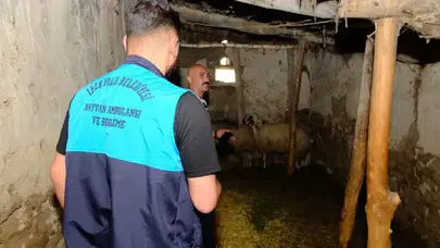 Van'da kuduz vakası : Karantinaya alınan mahallede giriş ve çıkışlar yasaklandı