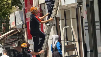 Siirt’te reklam panosuna sıkışan yavru kediyi AFAD ekipleri kurtardı