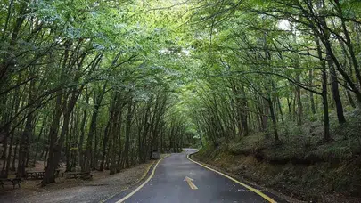 Tokat’ta 30 Ekim'e kadar ormanlara girişler yasaklandı