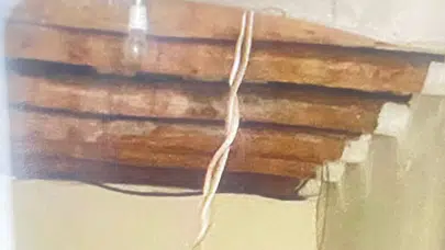 Hakkari’de toprak evi yılanlar sardı !