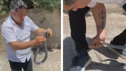 Hatay'da çıplak elle yakaladığı yılan bacağını ısırdı