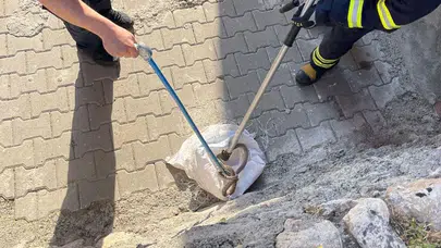 Siirt'te bahçeden 1,5 metre boyunda yılan çıktı