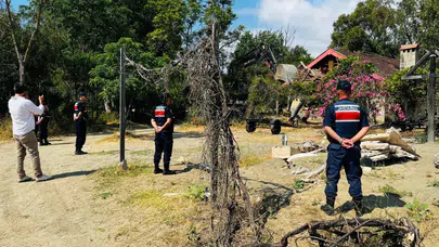 Antalya'da kaçak bungalov yapılar yıkıldı