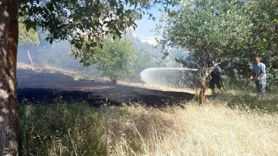 Hatay Reyhanlı'da zeytinlik alanda yangın