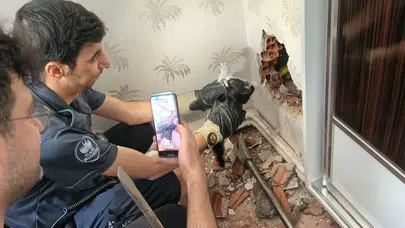 Elazığ'da baca boşluğuna sıkışan yavru kedi kurtarıldı