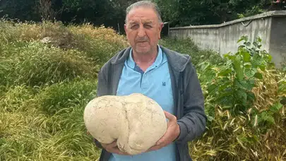 Isparta'da bahçesinde 3,5 kiloluk mantar buldu