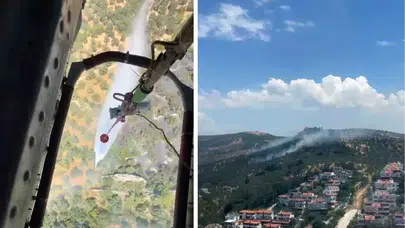 Balıkesir'de çıkan zeytinlik yangını kontrol altına alındı