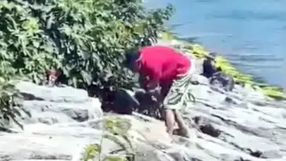Avcılar'da köpeğe şiddet uygulayan şahıs gözaltına alındı