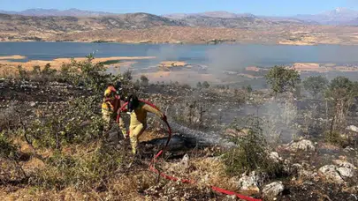 Diyarbakır'da ormanlık alanda yangın : 15 hektarlık alan zarar gördü
