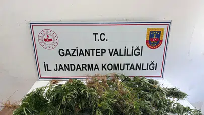 Gaziantep'te uyuşturucu ile mücadele operasyonu