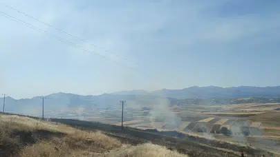 Elazığ'da rüzgarla yayılan alevler 40 dönümlük arpa tarlasını küle çevirdi