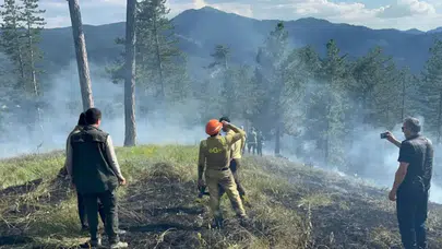 Kastamonu Tosya'da orman yangını : 7,5 dönümlük alan zarar gördü