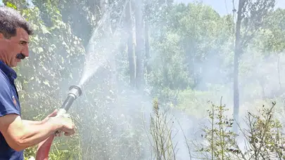Van Edremit'te ağaçlık alanda çıkan yangın söndürüldü