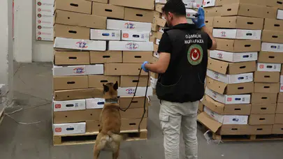 Kapıkule'de dondurulmuş tavuk eti yüklü tırda uyuşturucu ele geçirildi