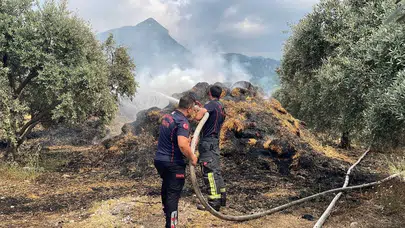 Osmaniye’de bahçedeki binden fazla saman balyaları yandı : 15 zeytin fidanı zarar gördü